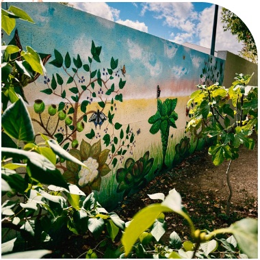 Fresque de potager peinte sur un mur de parpaing