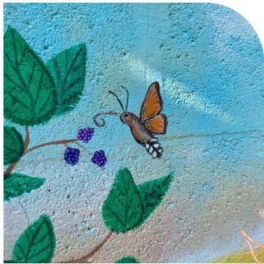 Papillon et mûres peints sur fond bleu ciel