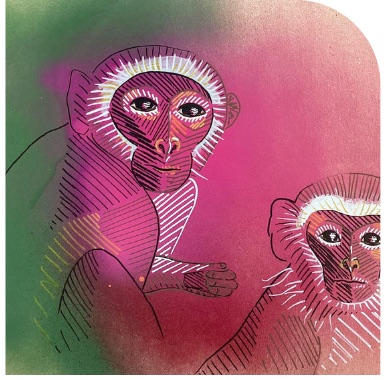 Deux singes vervets au spray rose et vert